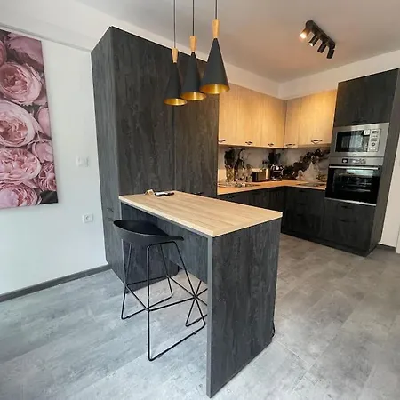 3 Bedroom Apt, Spacious, Near South Park Apartment